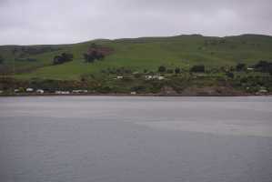 HARINGTON-POINT-DUNEDIN (3)